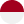 Bahasa language